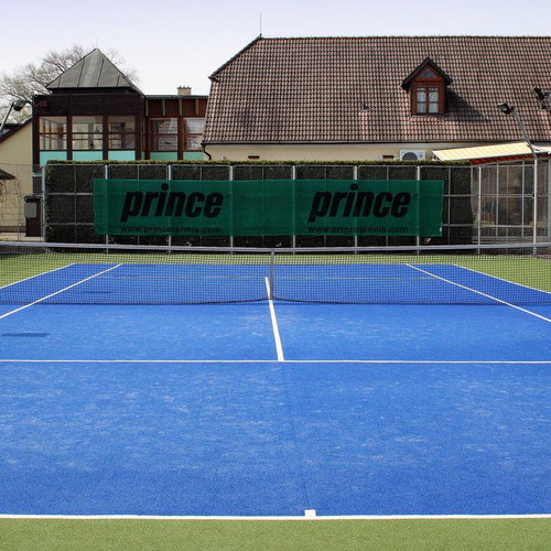 Tenis